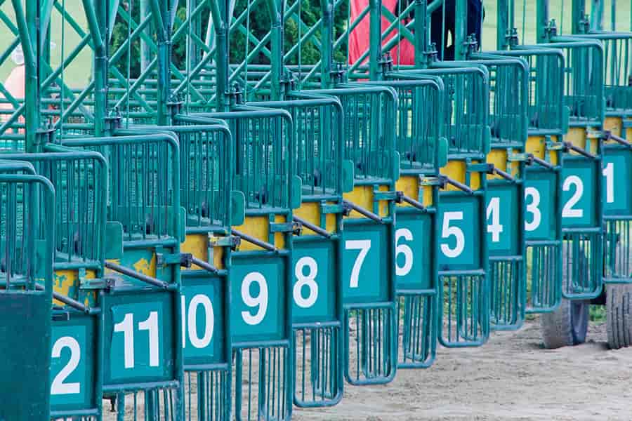 Gambling at the horse racing track