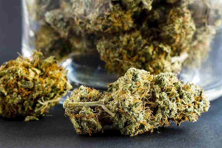 Marijuana
