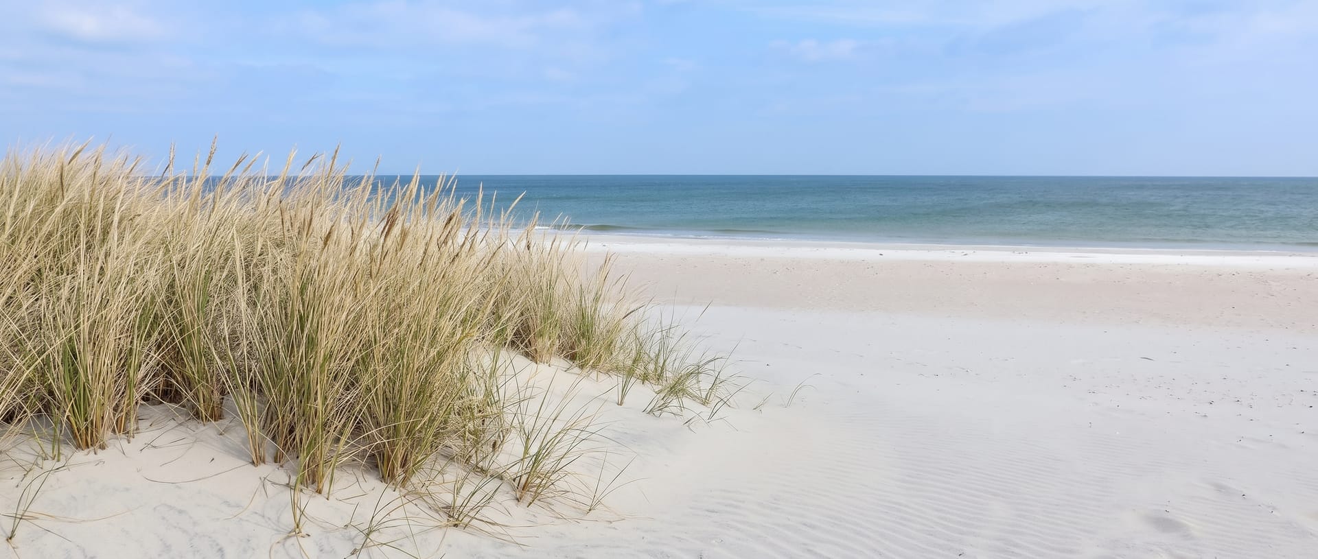 Dune grass and pale sand beside a calm sea